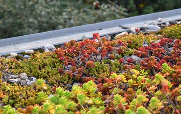 the cost of Achadh Nan Darach green roof installation