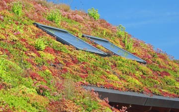 Achadh Nan Darach living roof systems