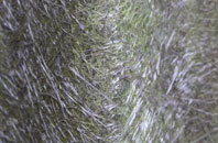 Achadh Nan Darach fibreglass roof work